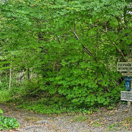 Gold Beach Apartment With Activities - 2 Mi To Ocean Екстер'єр фото